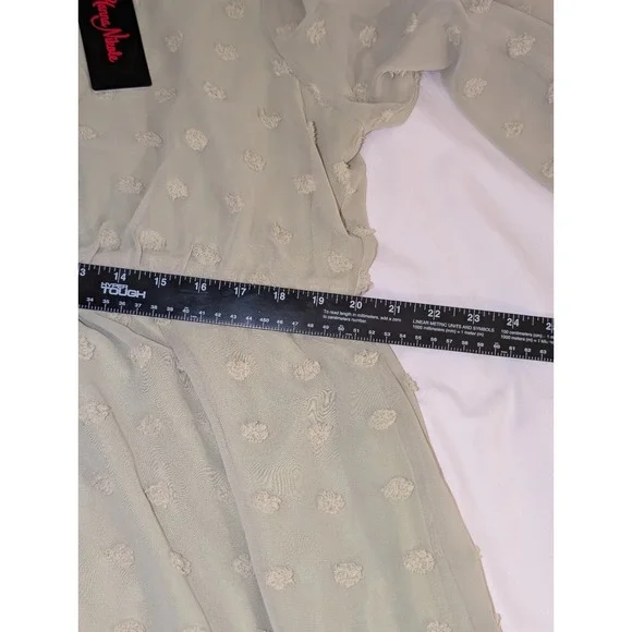 NWT Hanna Nicole Dress With‎ Sheer Long Sleeves Size 20W Light Green Mature - Picture 8 of 10